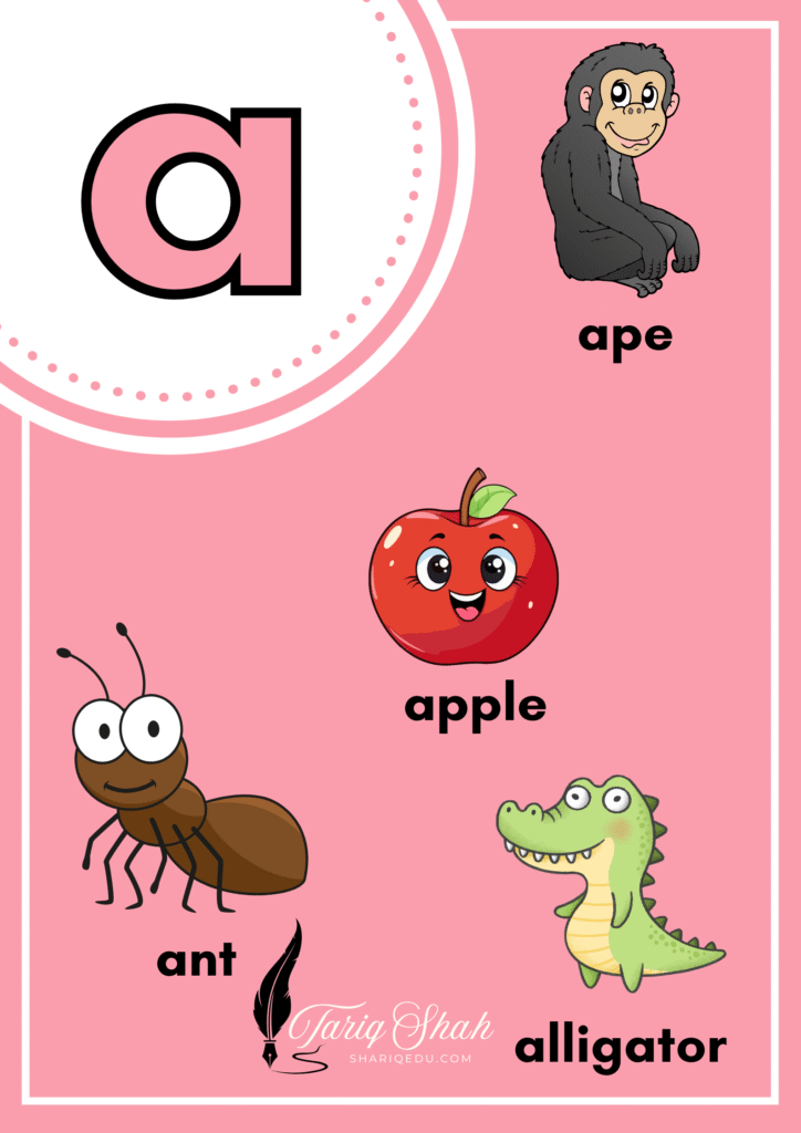 Letter A-Z Alphabet Pictures in Colorful Illustrative Style